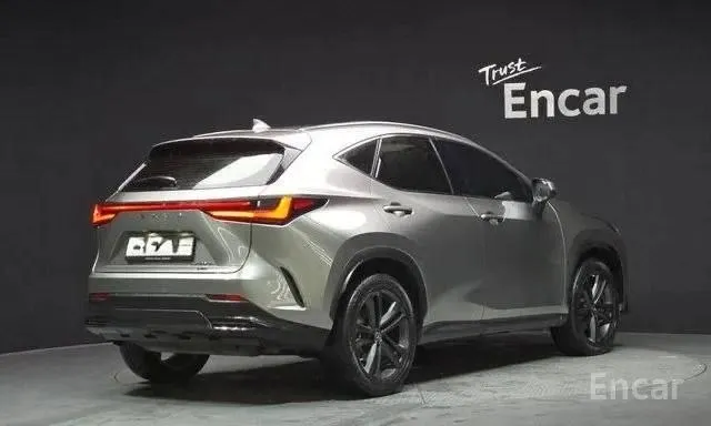 LEXUS NX350H 2022