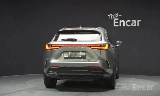 LEXUS NX350H 2022