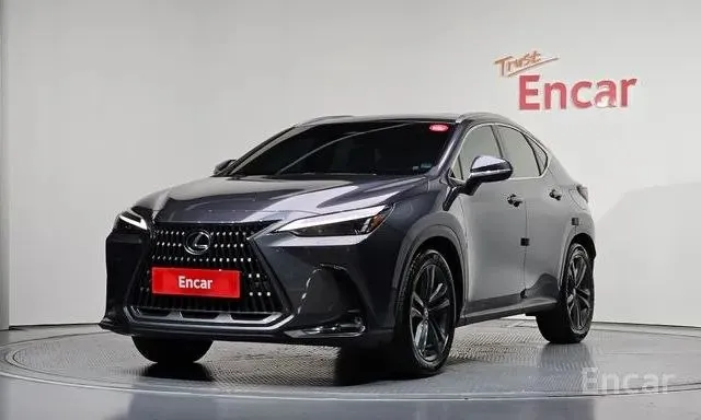 LEXUS NX350H 2023