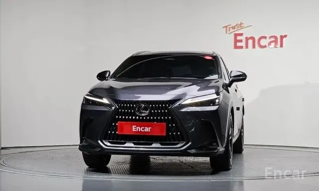 LEXUS NX350H 2023