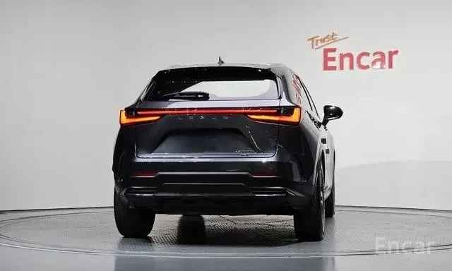 LEXUS NX350H 2023