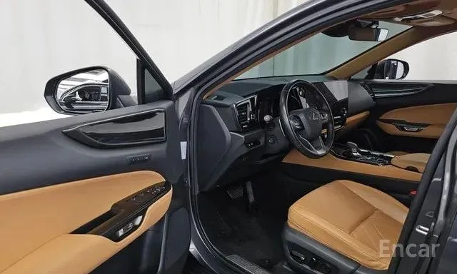 LEXUS NX350H 2023