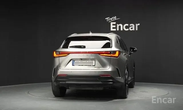 LEXUS NX450H 2023