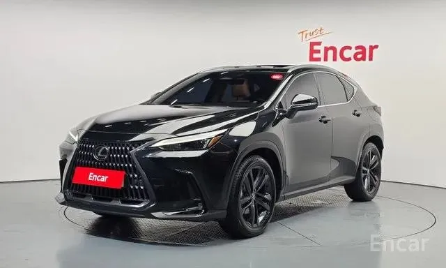 LEXUS NX350H 2023