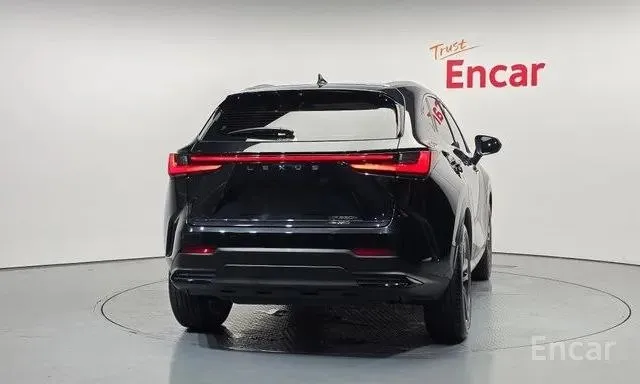 LEXUS NX350H 2023