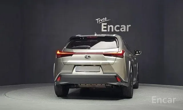 LEXUS UX250H 2022
