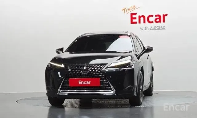 LEXUS UX250H 2023