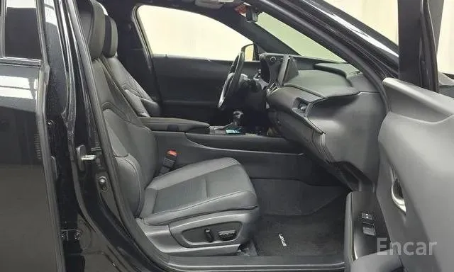 LEXUS UX250H 2023