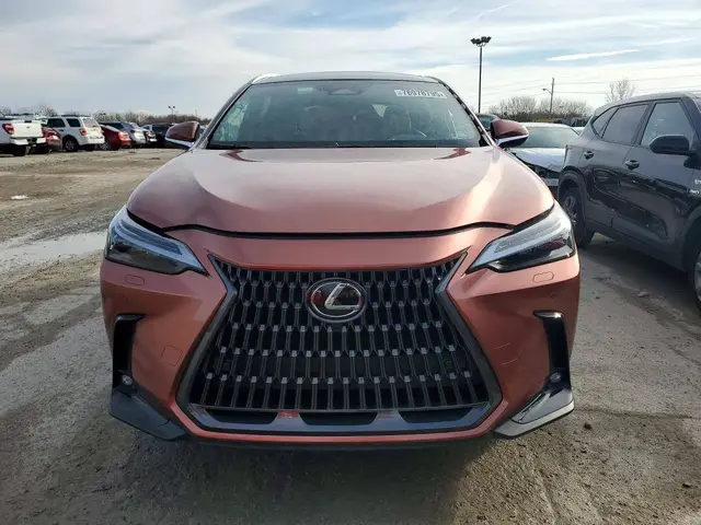 LEXUS NX LUXURY 2025