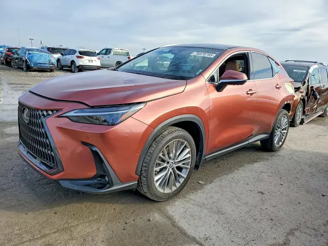 LEXUS NX LUXURY 2025