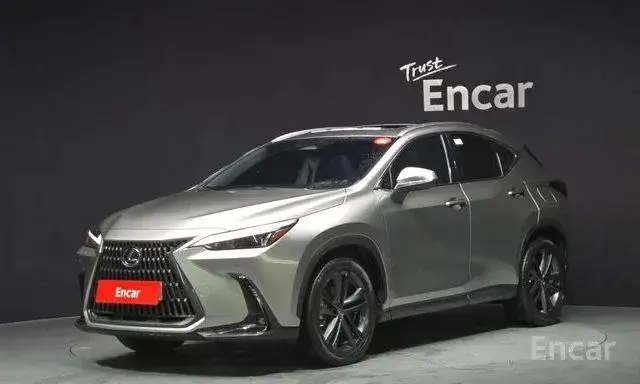 LEXUS NX350H 2022