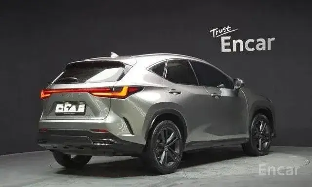 LEXUS NX350H 2022