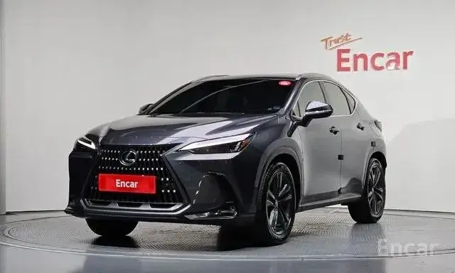 LEXUS NX350H 2023