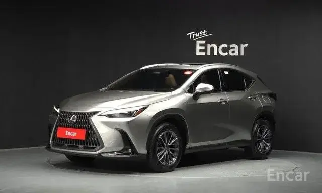 LEXUS NX450H 2023