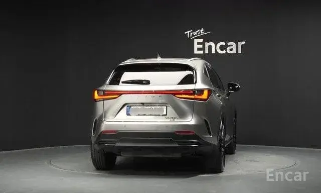 LEXUS NX450H 2023