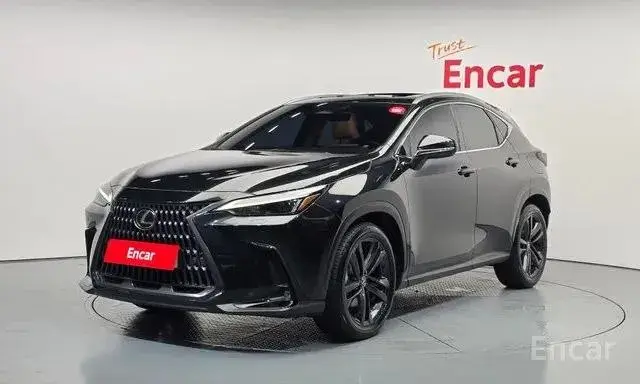 LEXUS NX350H 2023