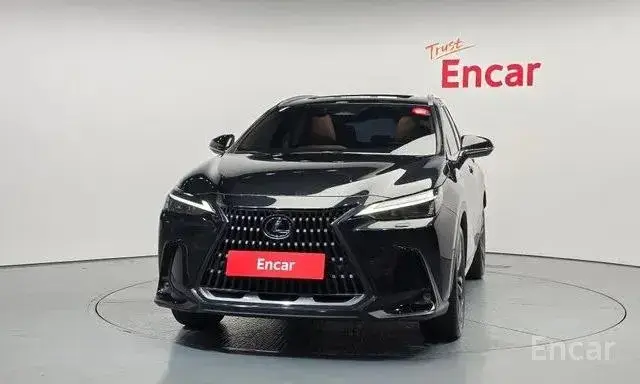 LEXUS NX350H 2023