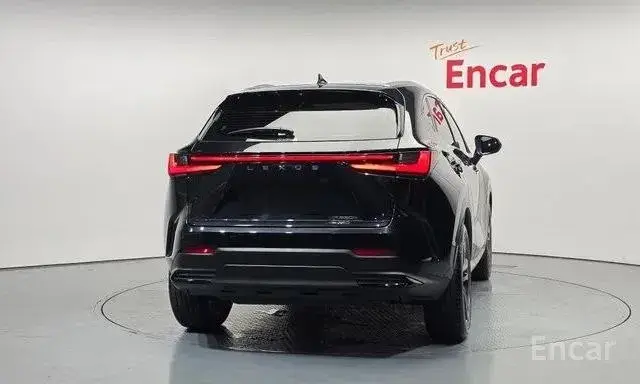 LEXUS NX350H 2023