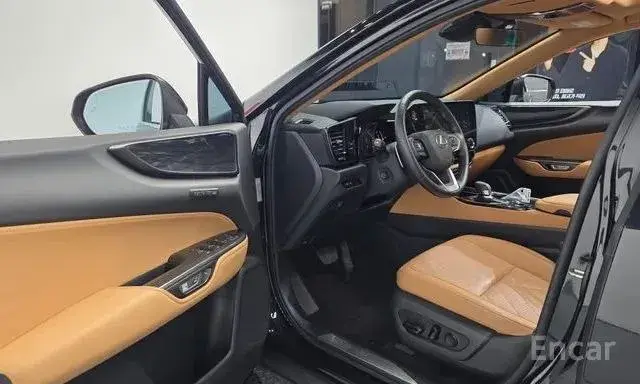LEXUS NX350H 2023