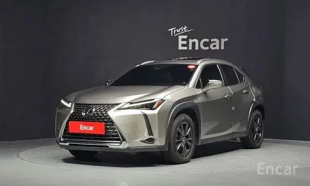 LEXUS UX250H 2022