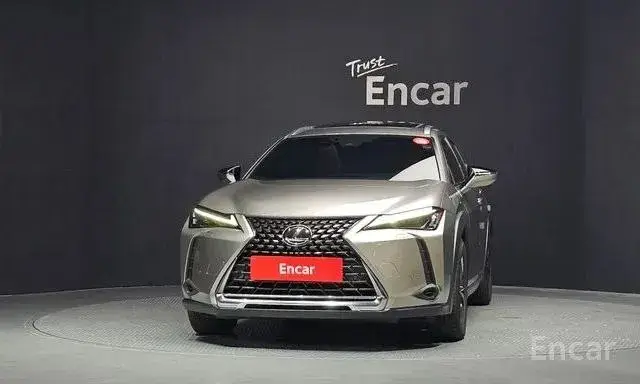 LEXUS UX250H 2022