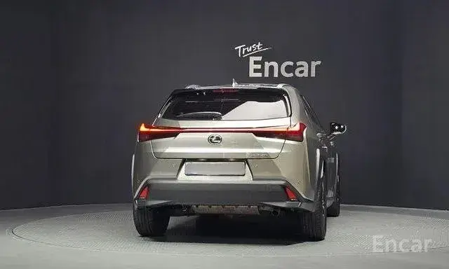 LEXUS UX250H 2022