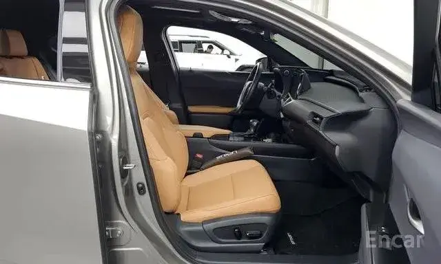 LEXUS UX250H 2022
