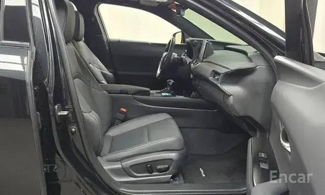 LEXUS UX250H 2023