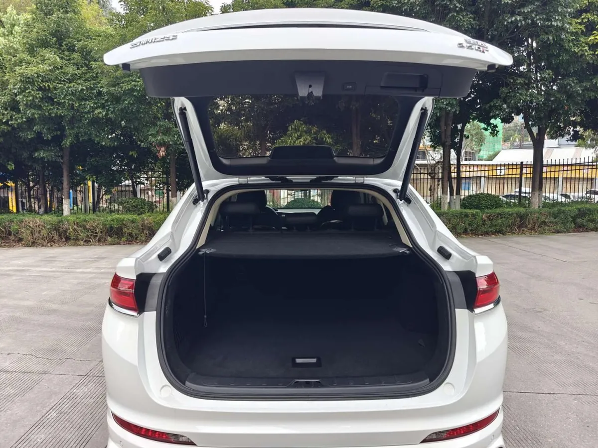 GEELY XINGYUE HIGH-PERFORMANCE EDITION 350T 2021