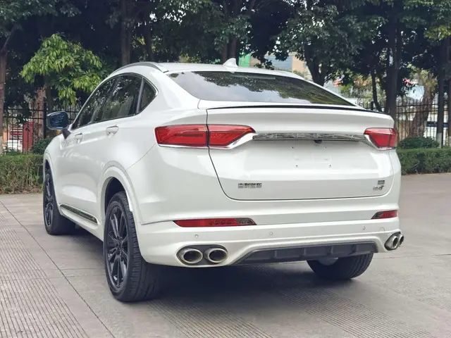 GEELY XINGYUE HIGH-PERFORMANCE EDITION 350T 2021