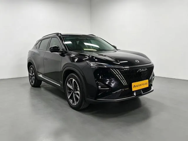 DONGFENG MAGE LUXURY 2023