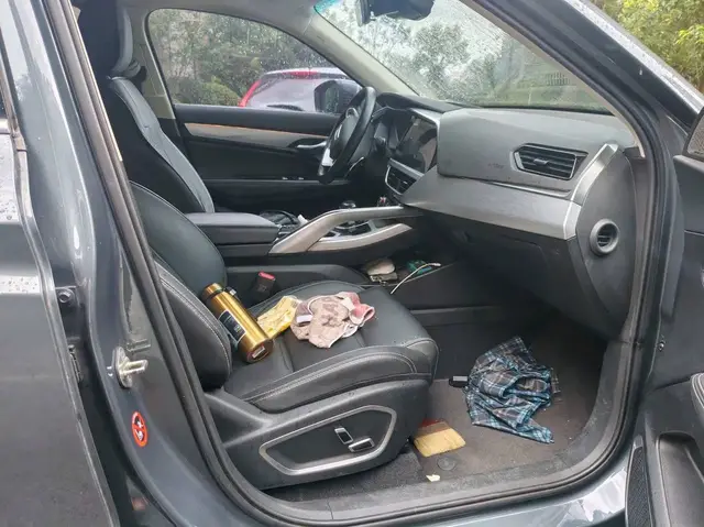 GEELY XINGYUE 2020
