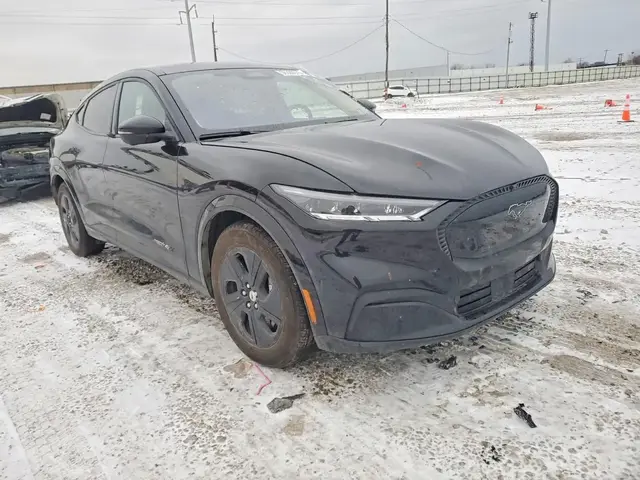 FORD MUSTANG MACH-E 2024