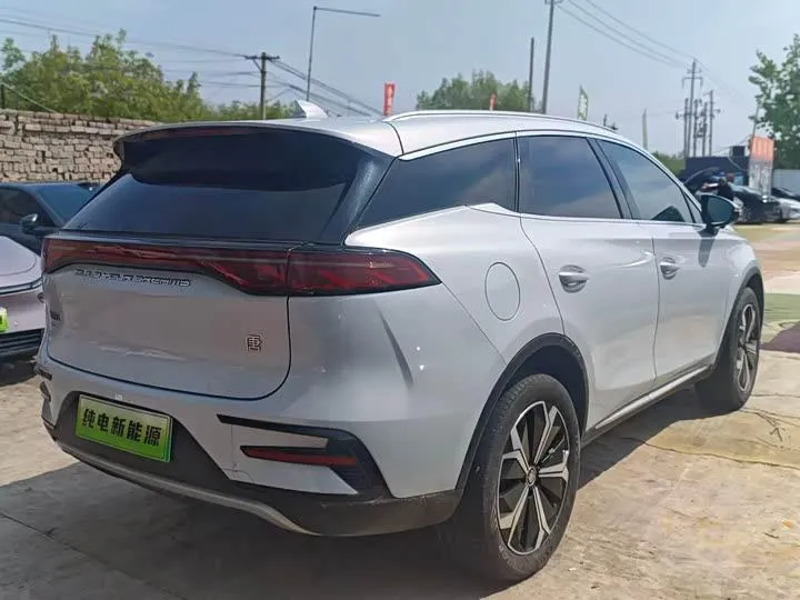BYD TANG NEW ENERGY 2024