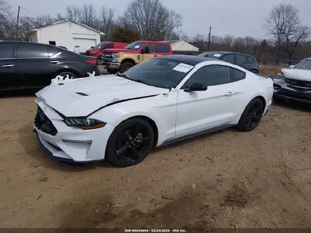 FORD MUSTANG ECOBOOST FASTBACK 2022