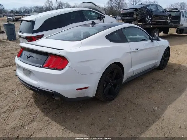 FORD MUSTANG ECOBOOST FASTBACK 2022