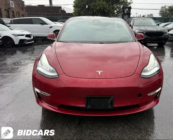 TESLA MODEL 3 2019