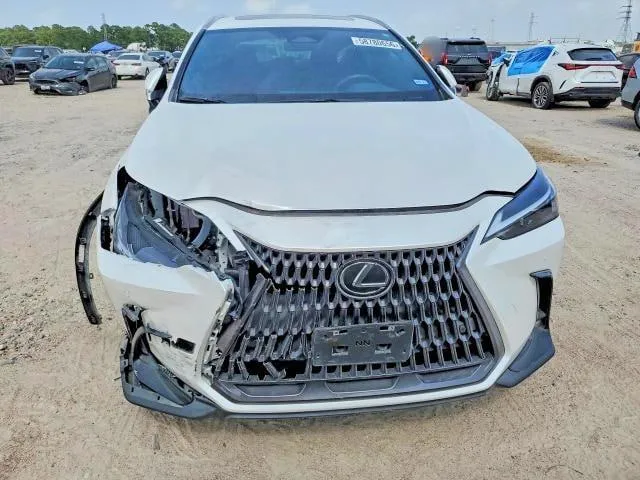 LEXUS NX 250 PREMIUM 2024