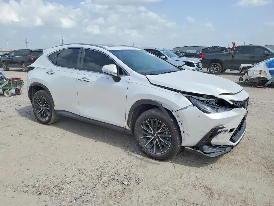 LEXUS NX 250 PREMIUM 2024