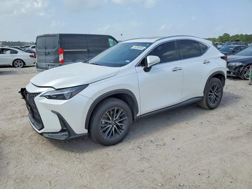 LEXUS NX 250 PREMIUM 2024