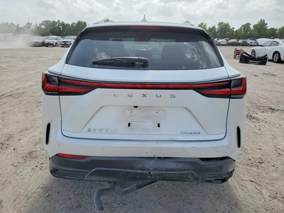 LEXUS NX 250 PREMIUM 2024