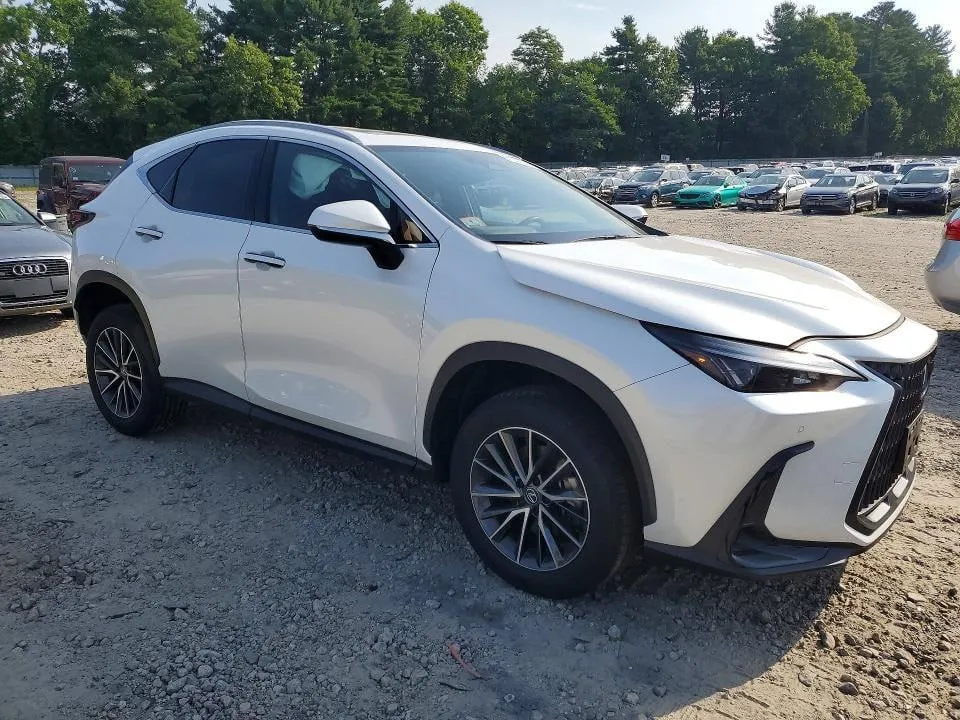 LEXUS NX PREMIUM 2024