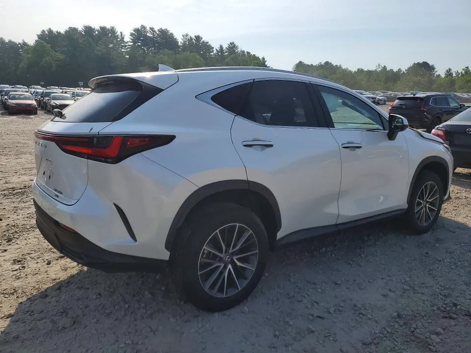 LEXUS NX PREMIUM 2024