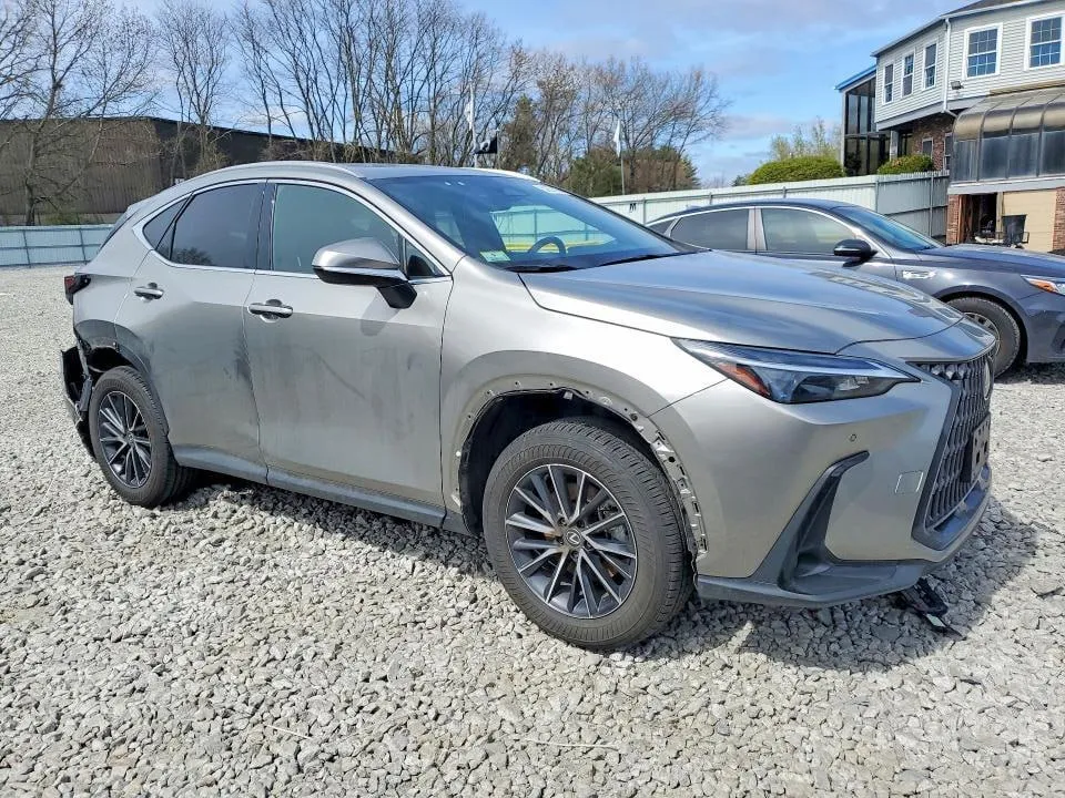 LEXUS NX PREMIUM 2024