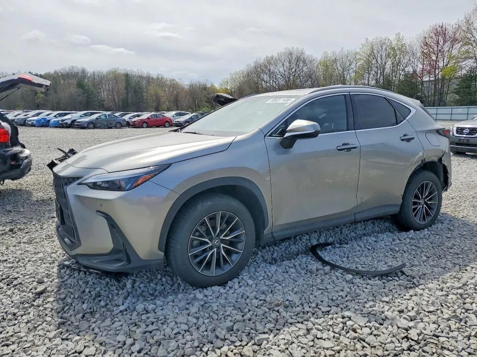 LEXUS NX PREMIUM 2024