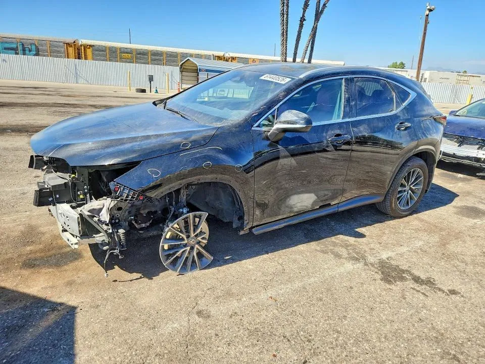 LEXUS NX PREMIUM 2023