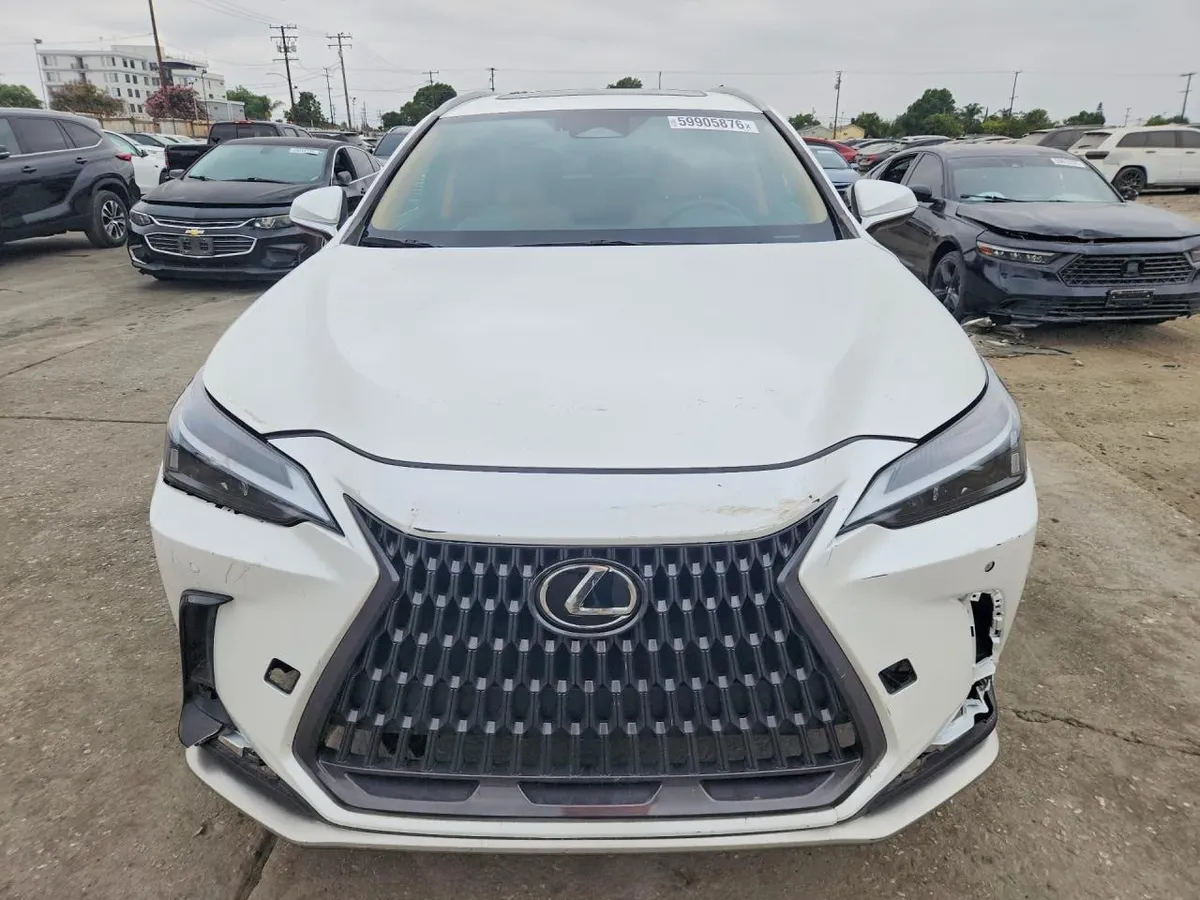 LEXUS NX PREMIUM 2024