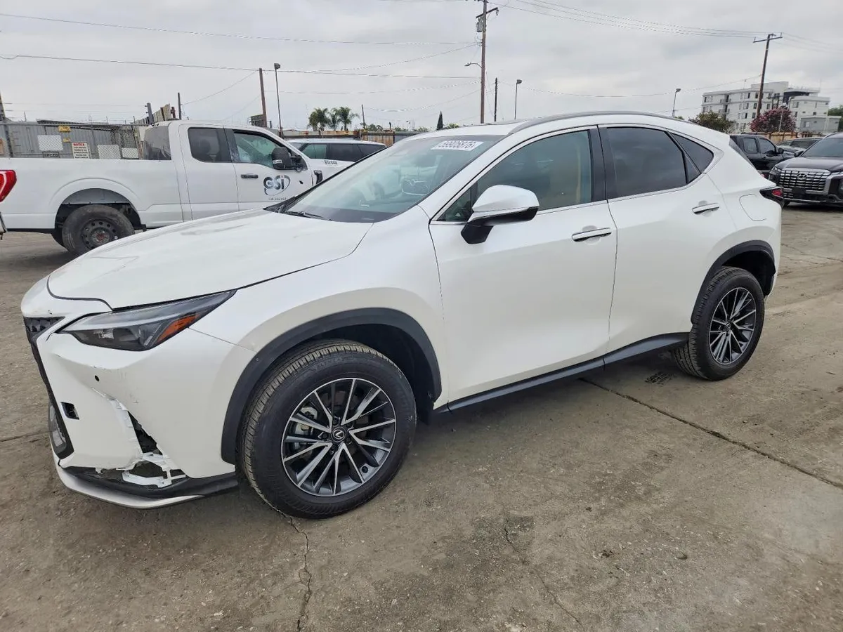 LEXUS NX PREMIUM 2024