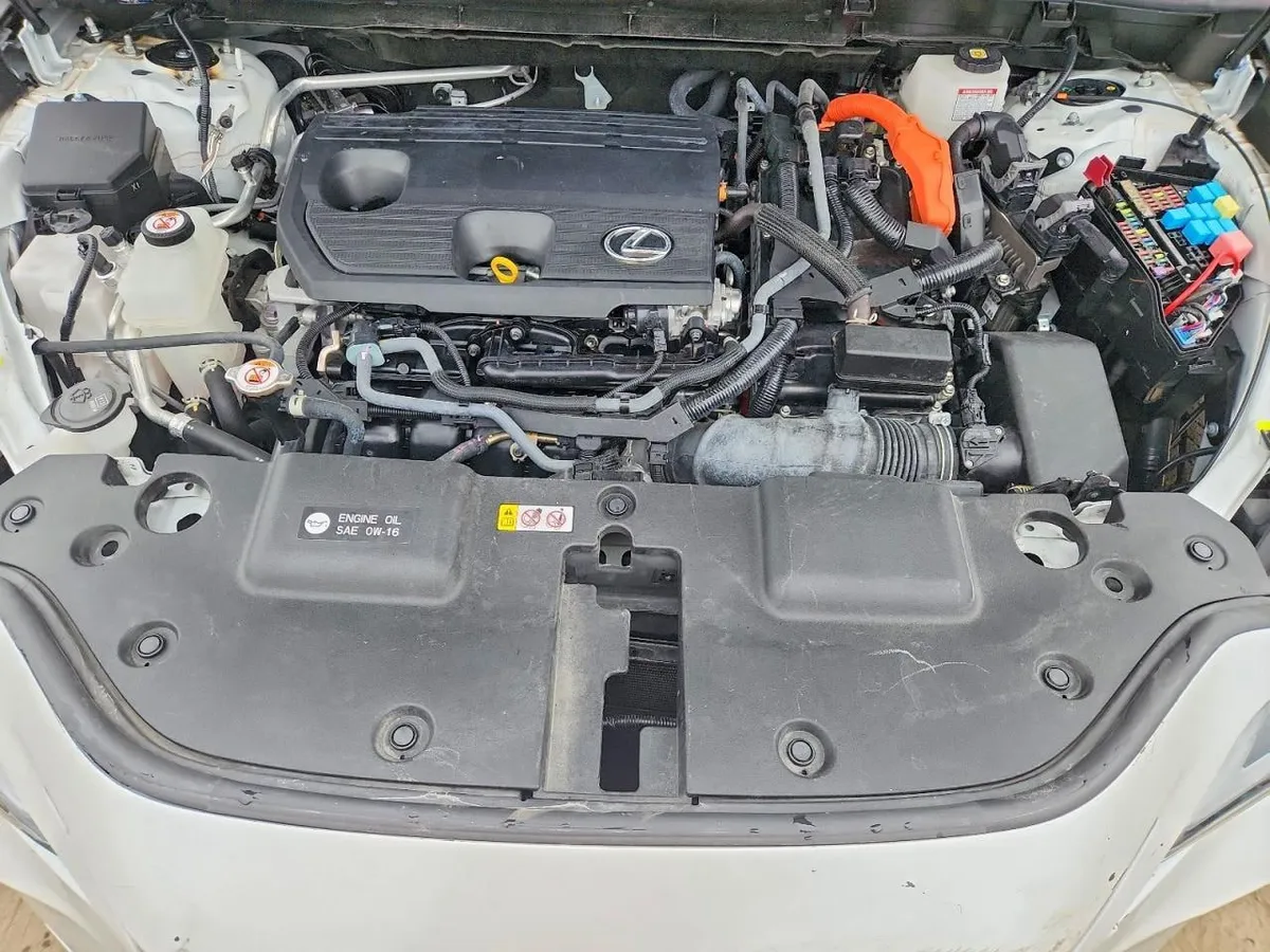 LEXUS NX PREMIUM 2024