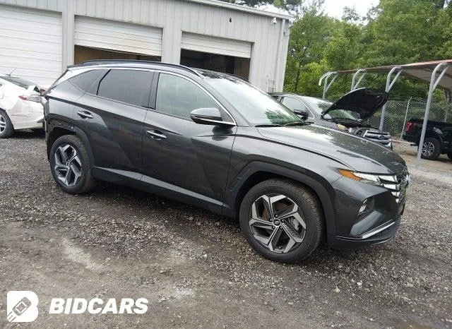 HYUNDAI TUCSON LIMITED 2024